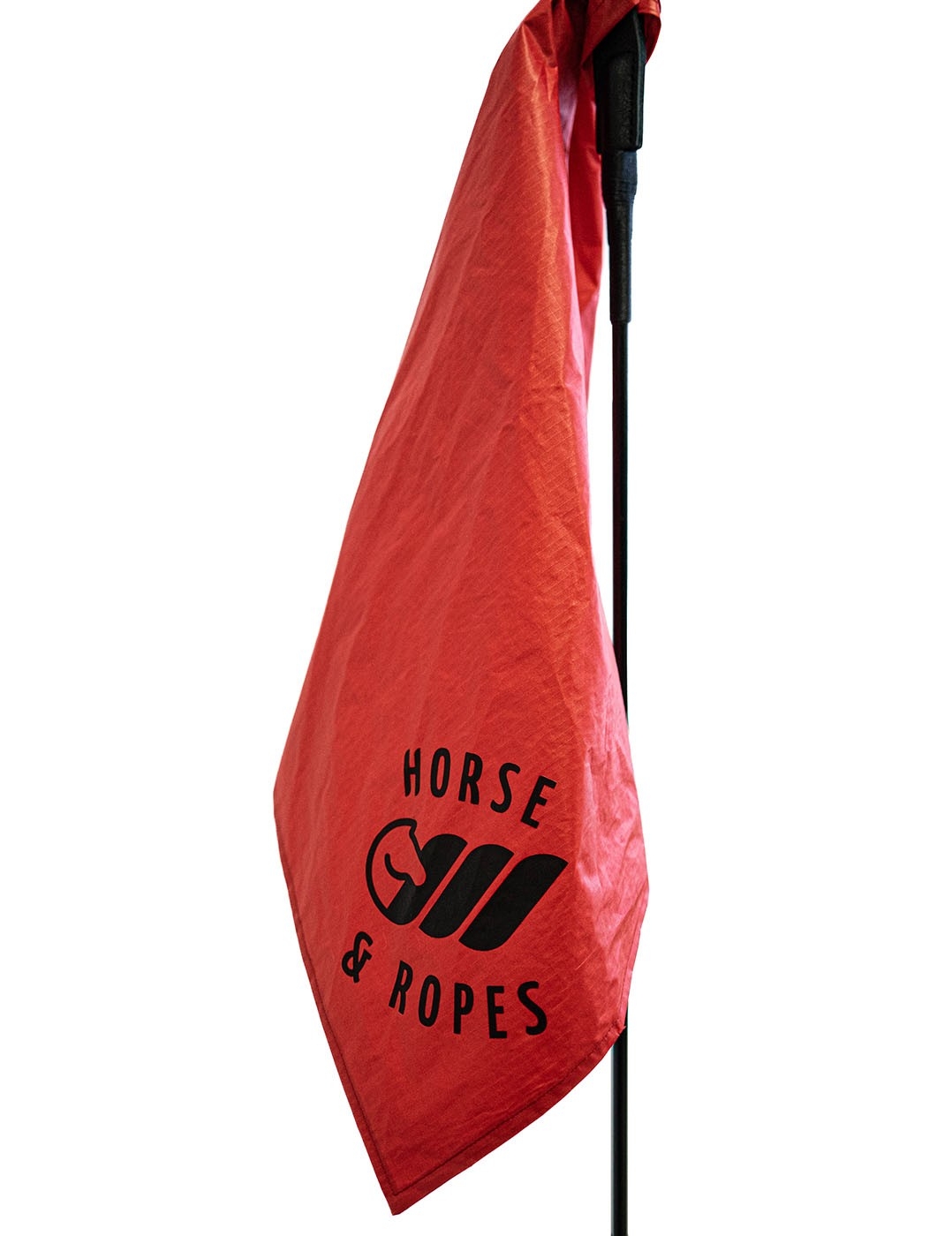 Flag de désensibilisation