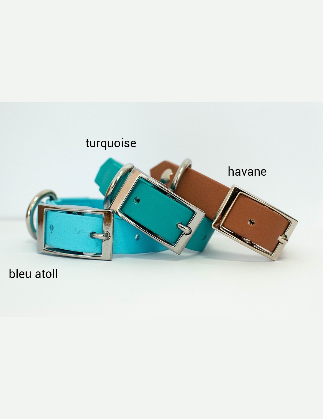 Destockage collier chien taille S