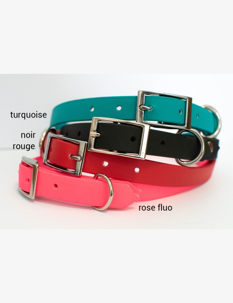 Destockage collier chien taille XL