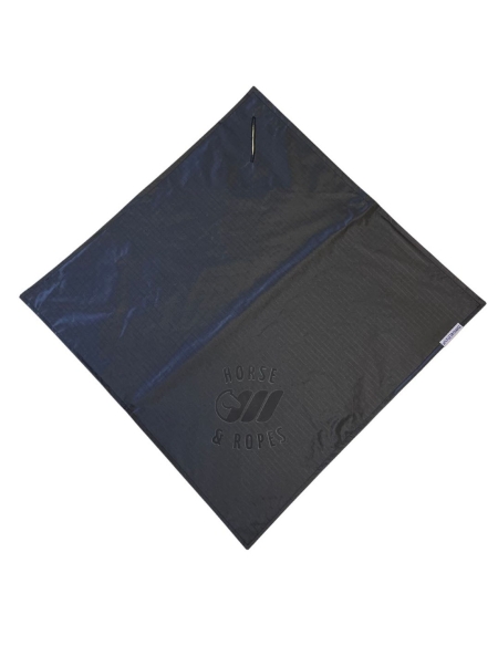 Flag de désensibilisation