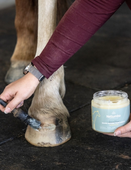 Baume naturel sabots Nellumbo