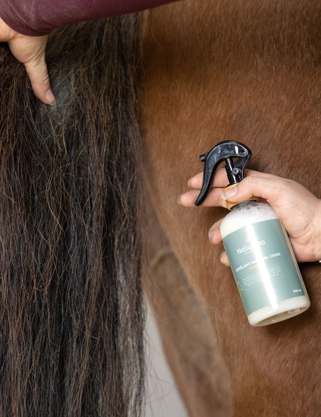 démêlant crins naturel