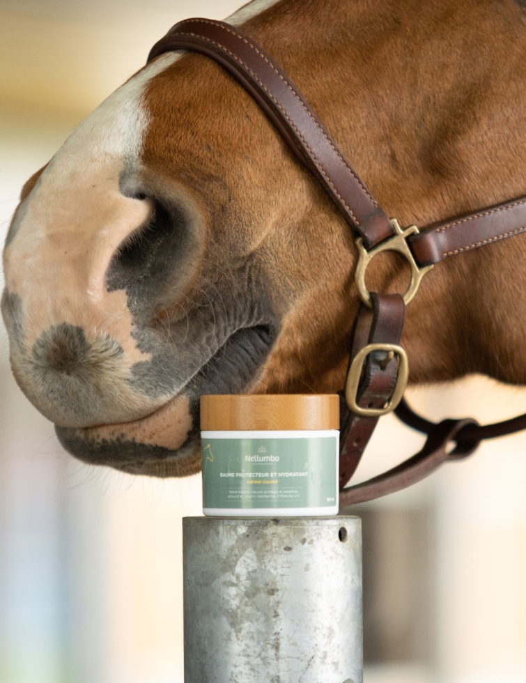 baume hydratant nellumbo 2