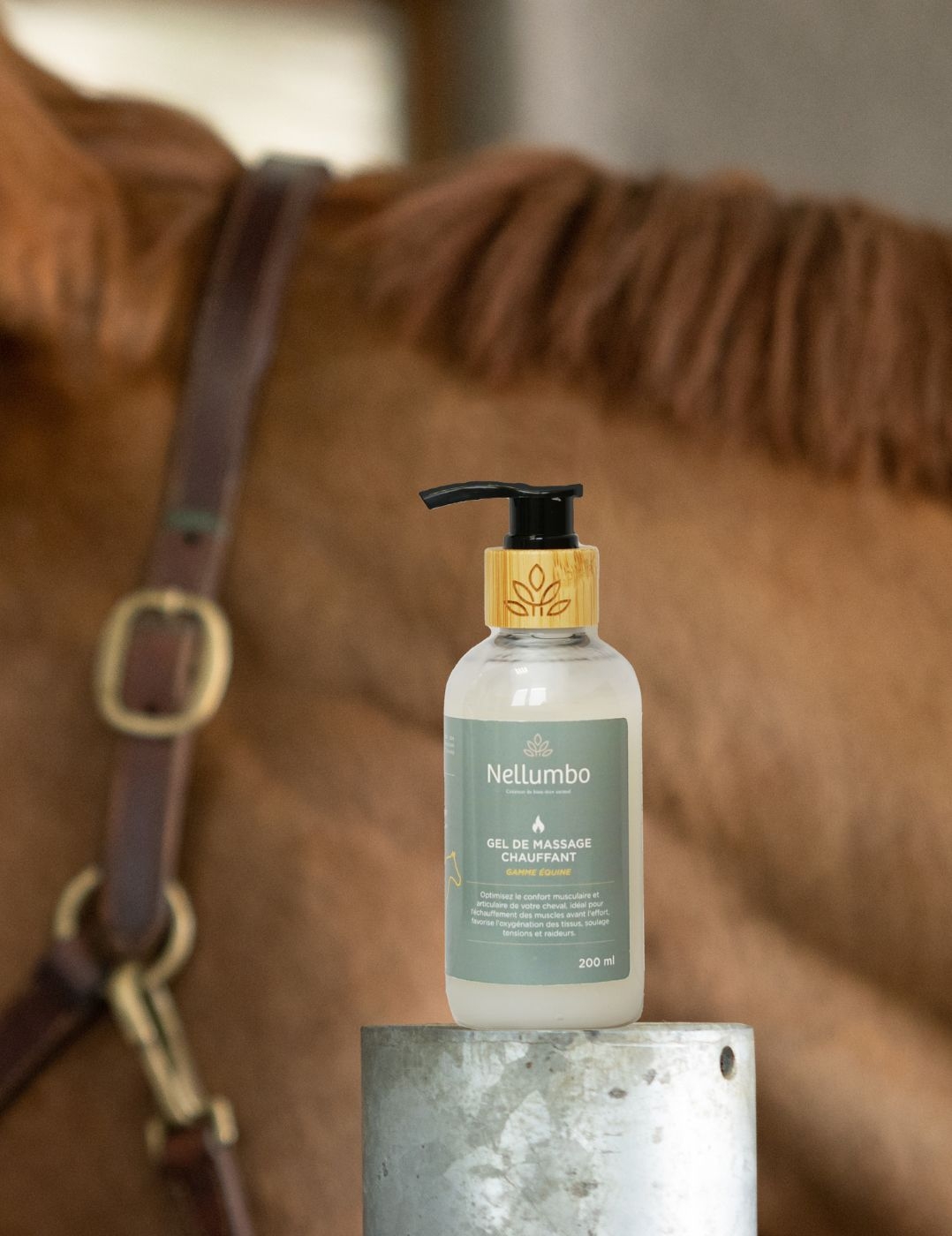 gel de massage chauffant cheval