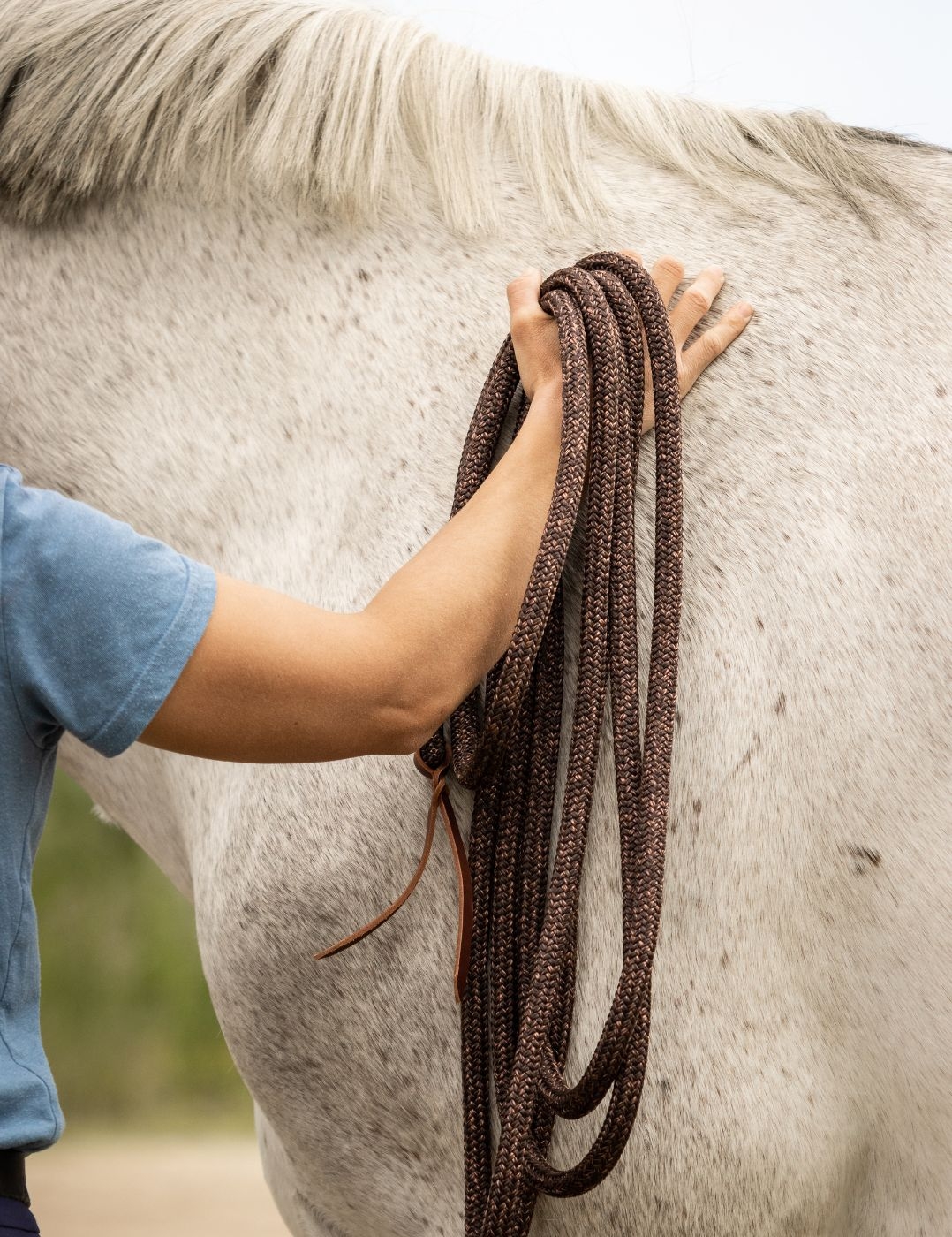 Longe de travail 3m70