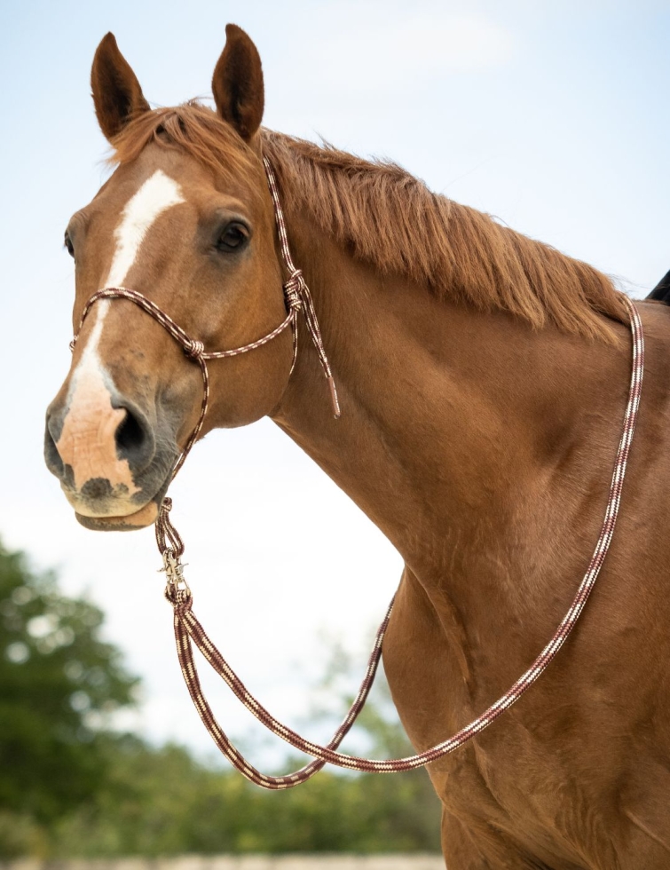 Rênes en corde haute qualité