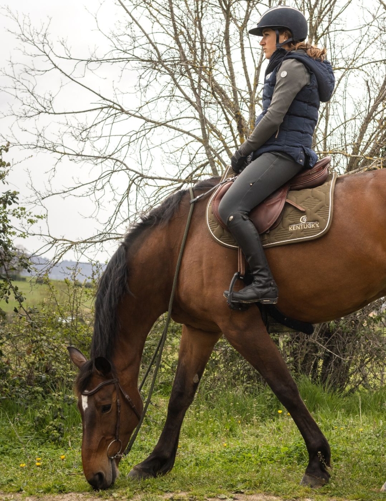 Lien d'attache des rênes à la selle 2