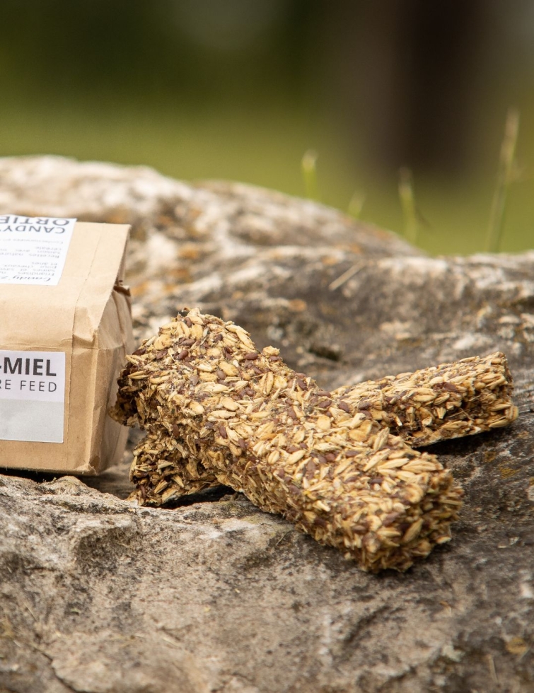 Friandises XXL et saines pour chevaux