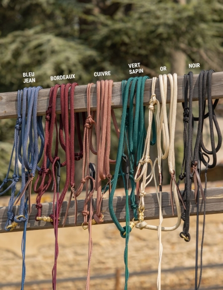 Licol corde, stick, cordelette et longe colorés