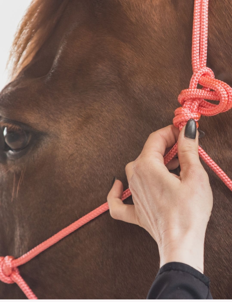 Licol corde Signature 2