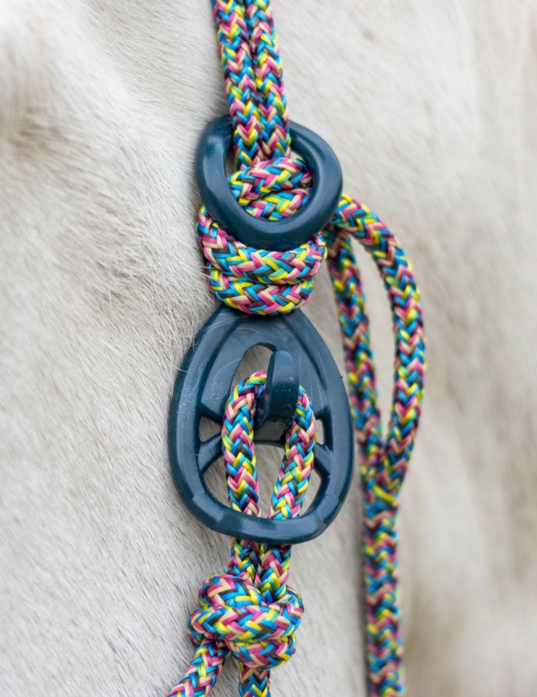 Crochet en plastique pour licol en corde