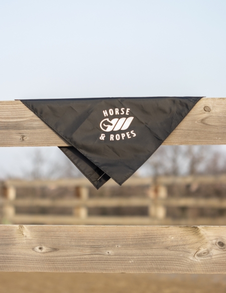 Flag noir à fixer sur un stick