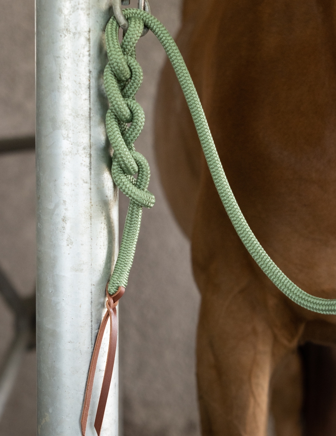 Longe en corde pour l'attache. Fabriquée en France.