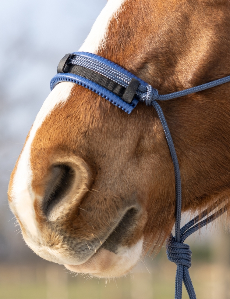 Protection de muserolle