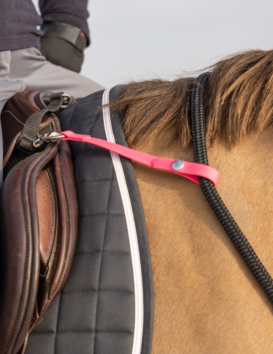 Lien d'attache des rênes à la selle