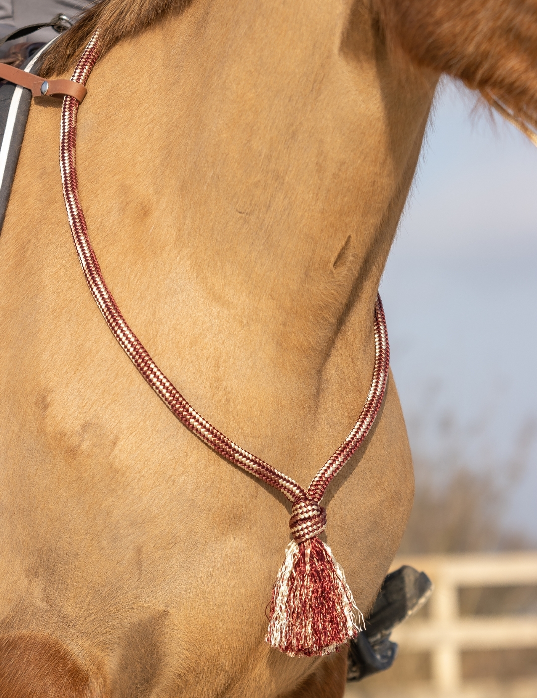 cordelette pour la monte freestyle