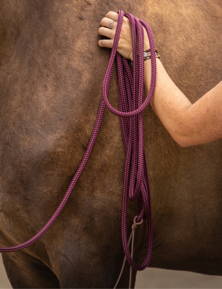 Longe de 7m fine et légère pour le travail à distance et pour l'equifeel