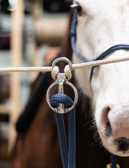 Anneau d'attache éducatif