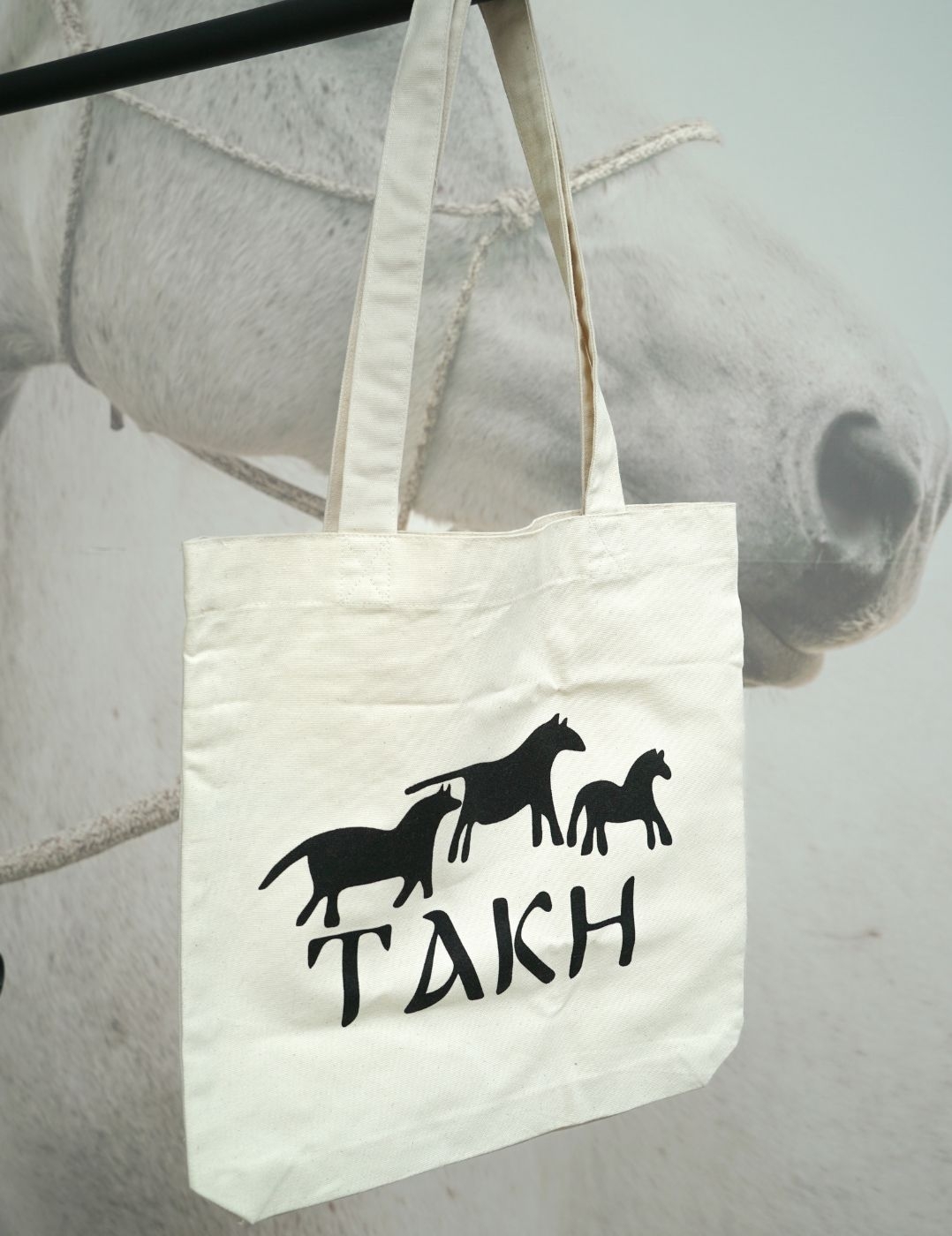 Tote bag Takh
