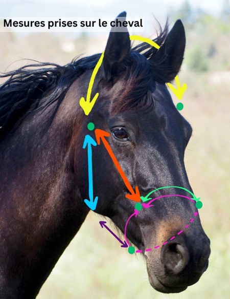 Licol corde sur mesure