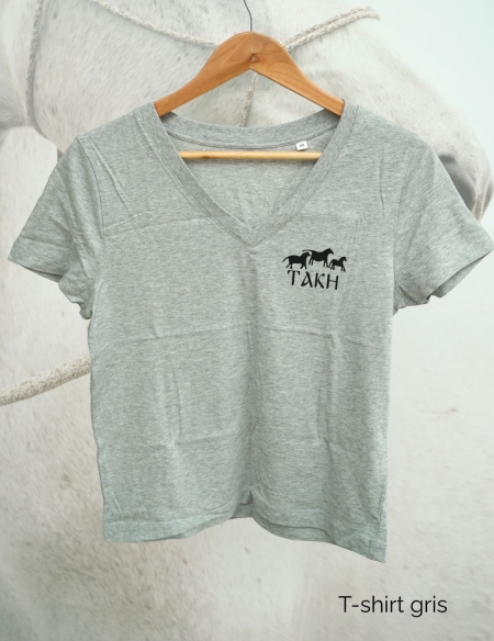 Tshirt gris col V Takh
