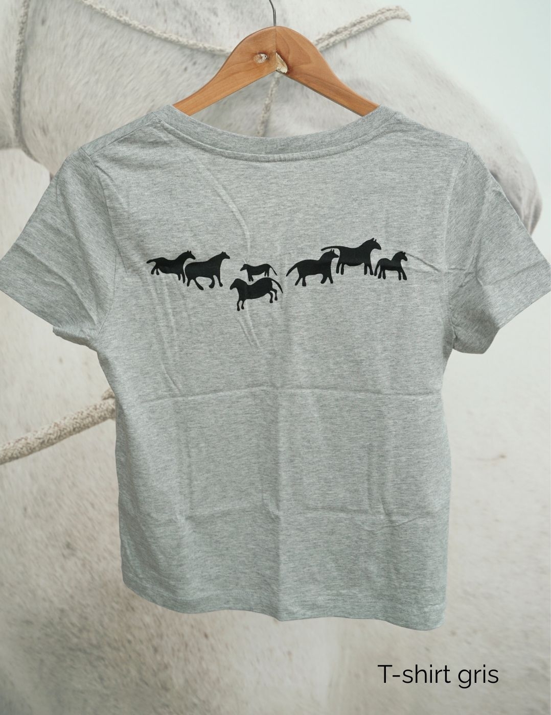 Tshirt gris col V Takh