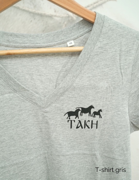Tshirt gris col V Takh