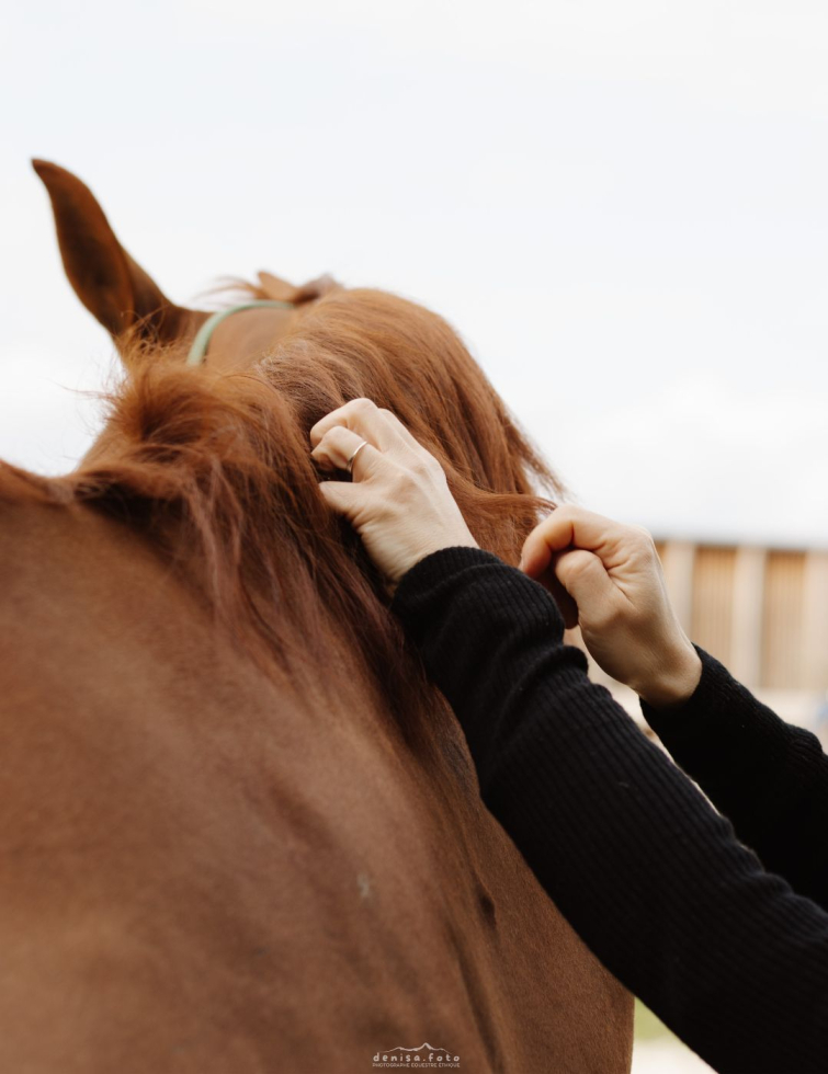 Serum pour crins chevaux 2