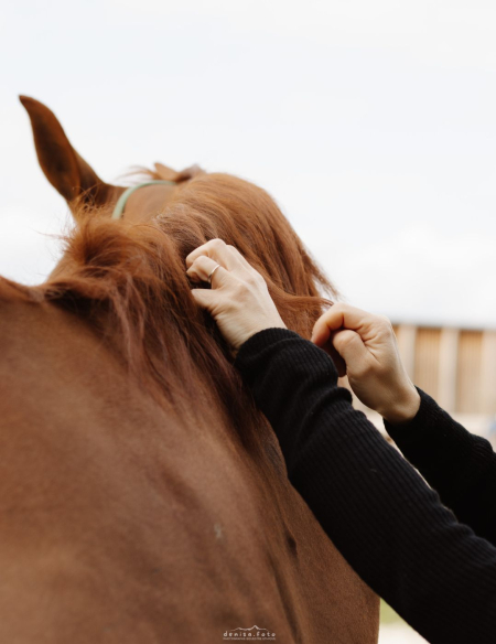 Sérum Sublime Crins Nellumbo
