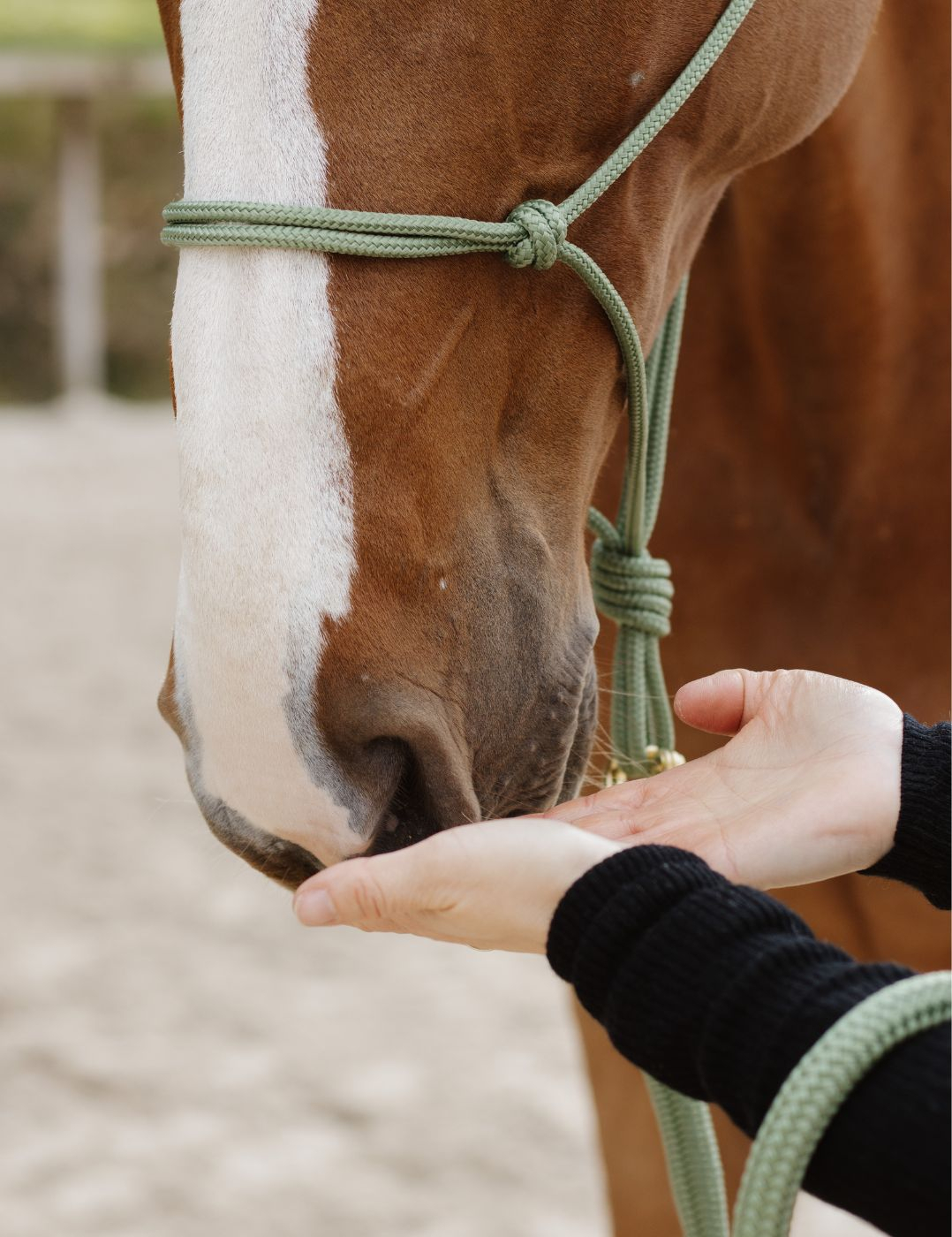 pour la tempête émotionnelle de petit Tonnerre avant l'embarquement
