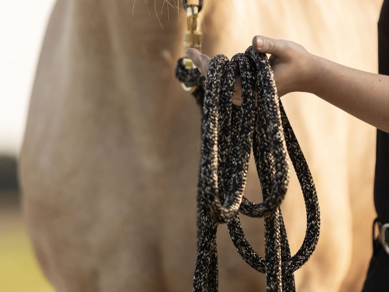 longe accrochée à un licol en corde