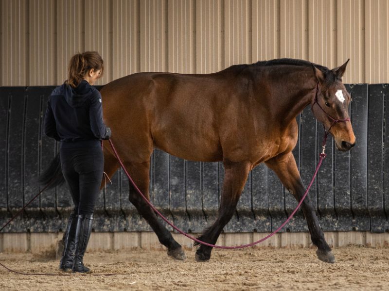 starter kit en utilisation