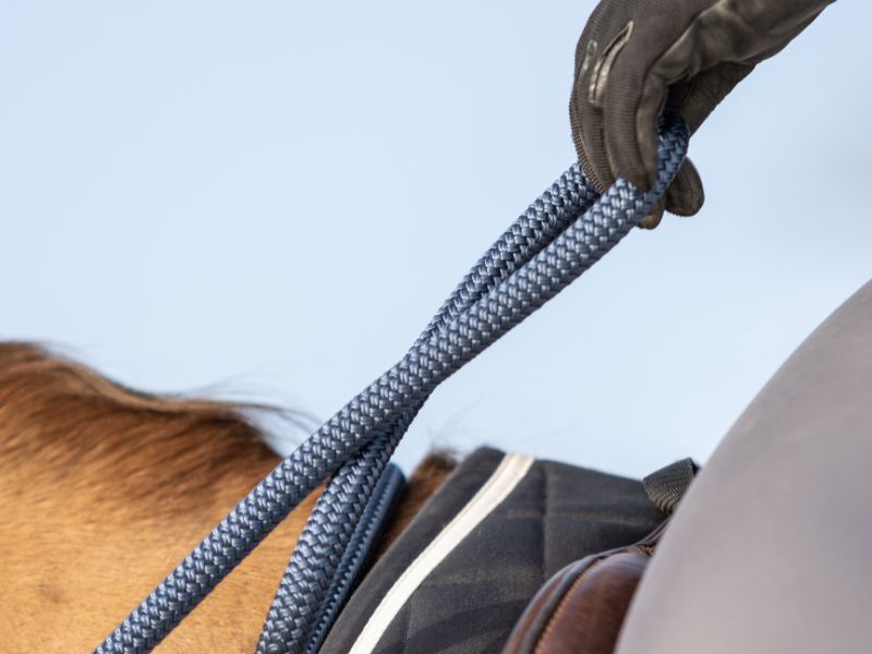 zoom sur une paire de renes