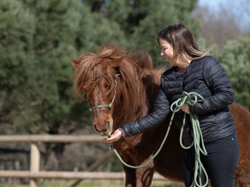 longe de travail verte portée
