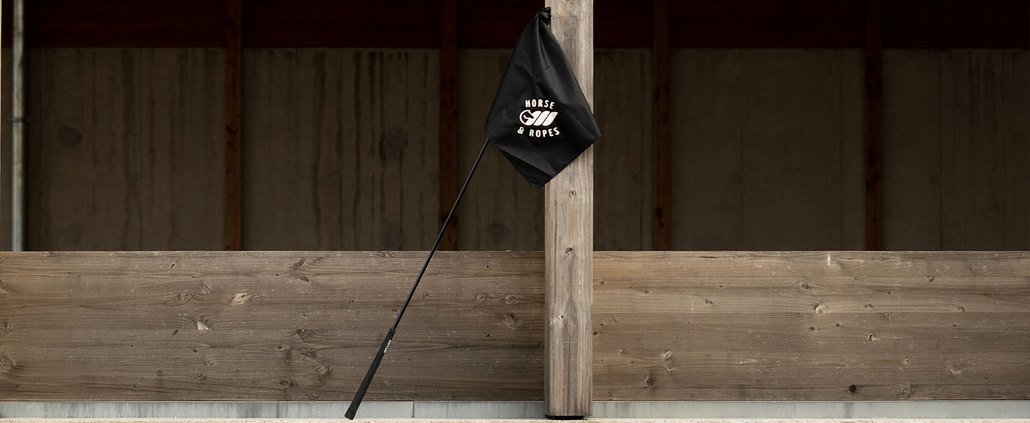 flag d&eacute;sensibilisation