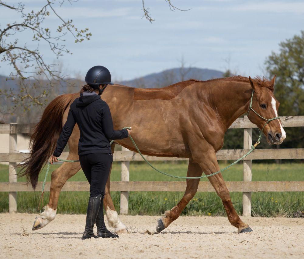 quelle longe choisir