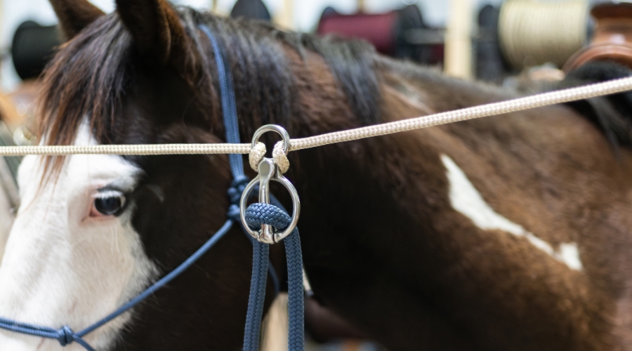 anneau attache facile