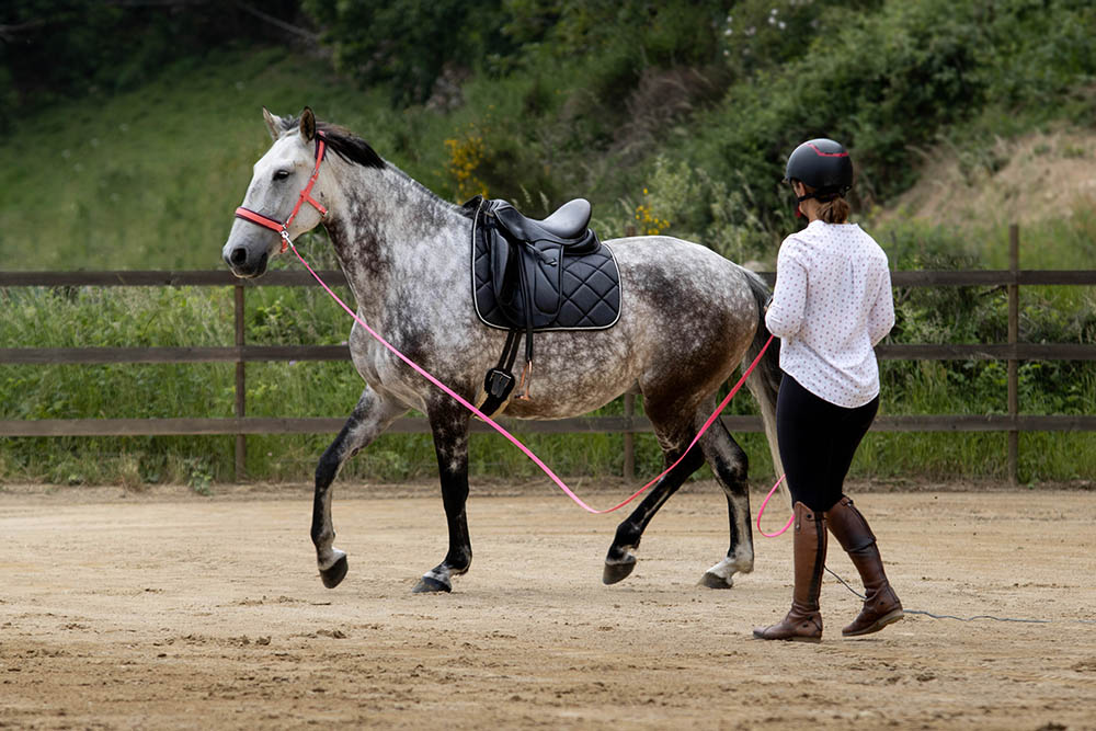 longe biothane en action vue calme