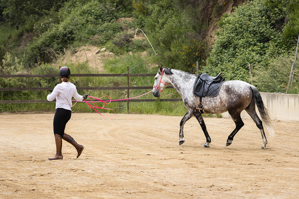 longe biothane en action vue large
