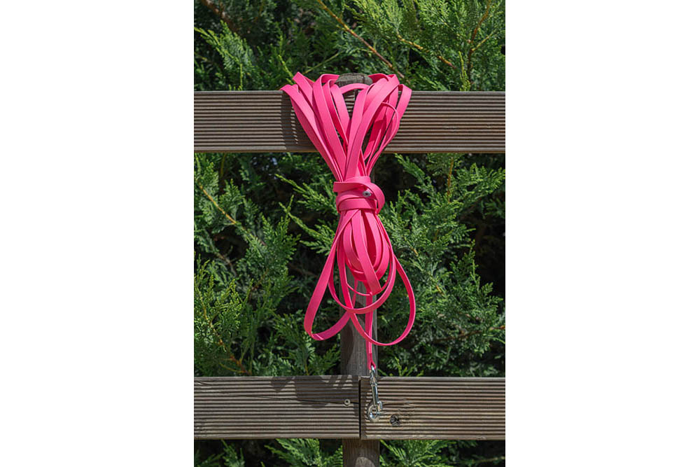 longe biothane en action vue rang&eacute;e