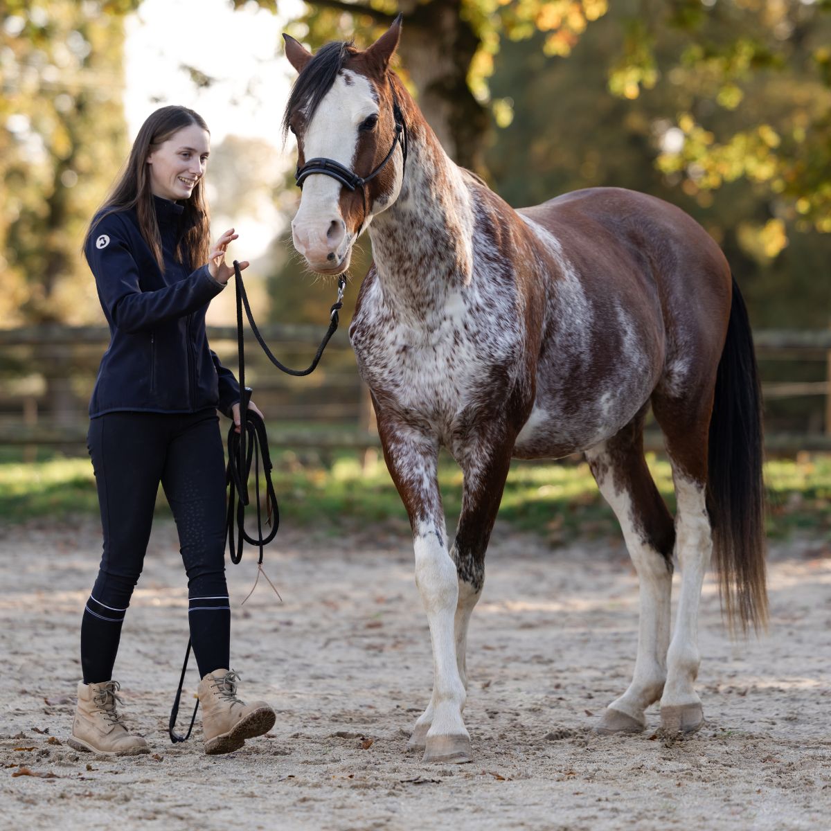 matériel d'équitation éthologique haute qualité