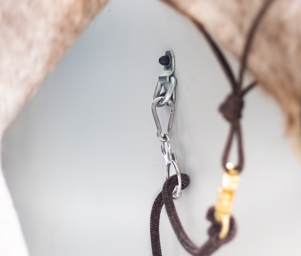 quelle longe choisir